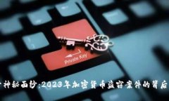 揭开神秘面纱：2023年加密货币盗窃案件的背后真