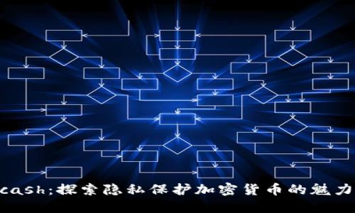 揭秘Zcash：探索隐私保护加密货币的魅力与潜力