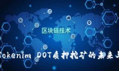 探究Tokenim DOT质押挖矿的未来与潜力