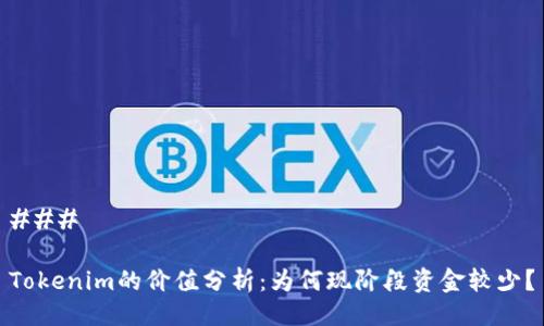 ### 

Tokenim的价值分析：为何现阶段资金较少？