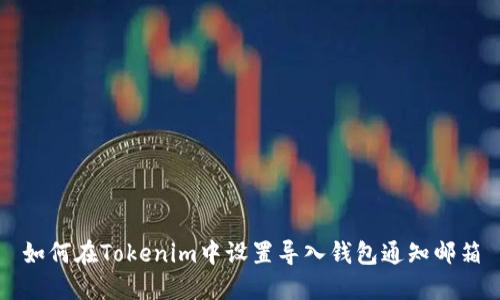 如何在Tokenim中设置导入钱包通知邮箱