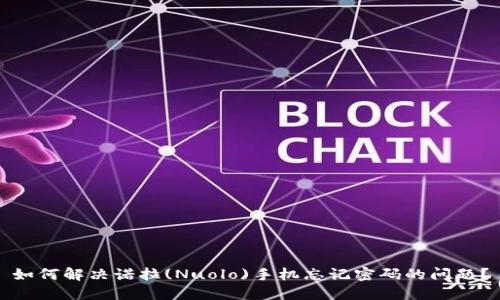 如何解决诺拉(Nuolo)手机忘记密码的问题？