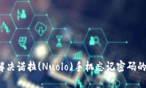 如何解决诺拉(Nuolo)手机忘记密码的问题？