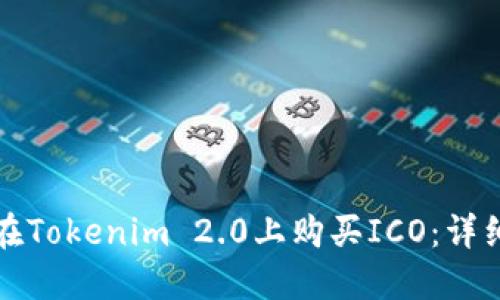 如何在Tokenim 2.0上购买ICO：详细指南