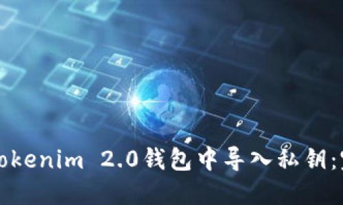 如何在Tokenim 2.0钱包中导入私钥：完整指南