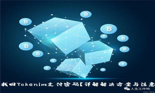 如何找回Tokenim支付密码？详解解决方案与注意事项