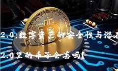 Tokenim 2.0：数字资产的安全性与潜在风险分析To