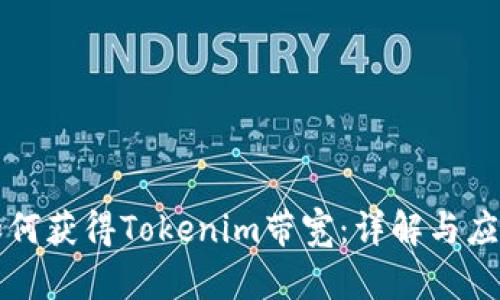 如何获得Tokenim带宽：详解与应用