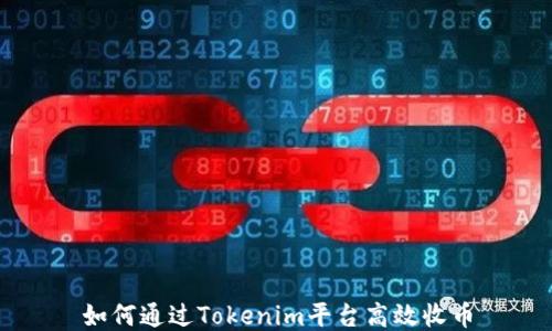
如何通过Tokenim平台高效收币