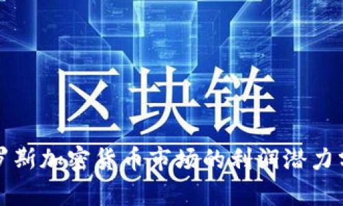 俄罗斯加密货币市场的利润潜力分析