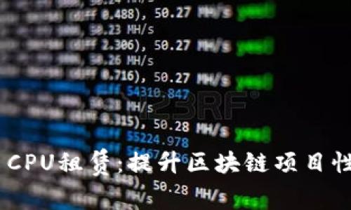 TokenIM CPU租赁：提升区块链项目性能的策略