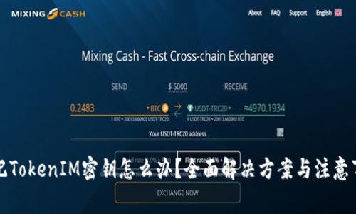 忘记TokenIM密钥怎么办？全面解决方案与注意事项
