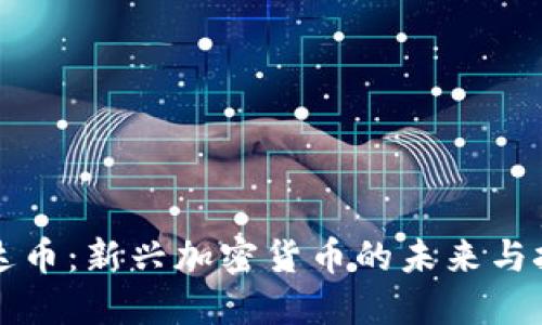雷达币：新兴加密货币的未来与挑战