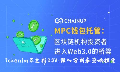 Tokenim不支持BSV：深入分析和影响探索