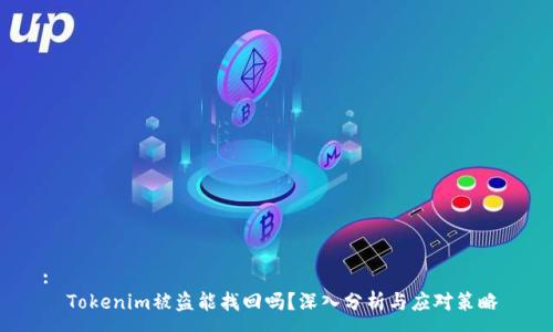 :
  Tokenim被盗能找回吗？深入分析与应对策略 