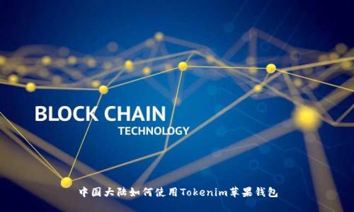 中国大陆如何使用Tokenim苹果钱包