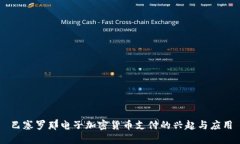 巴塞罗那电子加密货币支付的兴起与应用