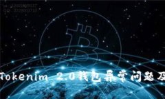 深入解析Tokenim 2.0钱包异常问题及解决方案